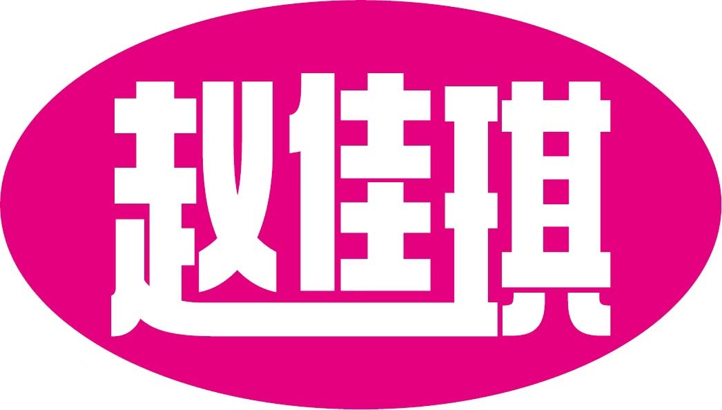 临沂市罗庄区赵佳琪玩具厂