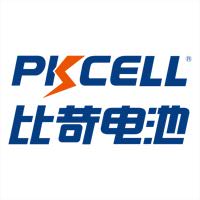 深圳市比苛电池有限公司