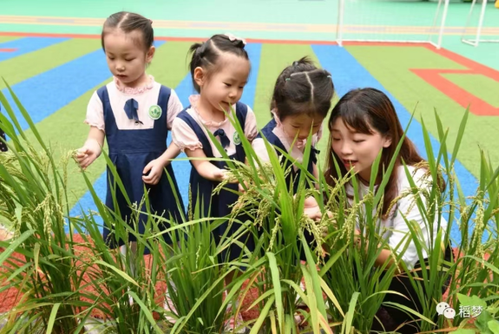 湖南幼专：打造“师职融合型”幼师培养的“五体模式” CPE中国幼教展