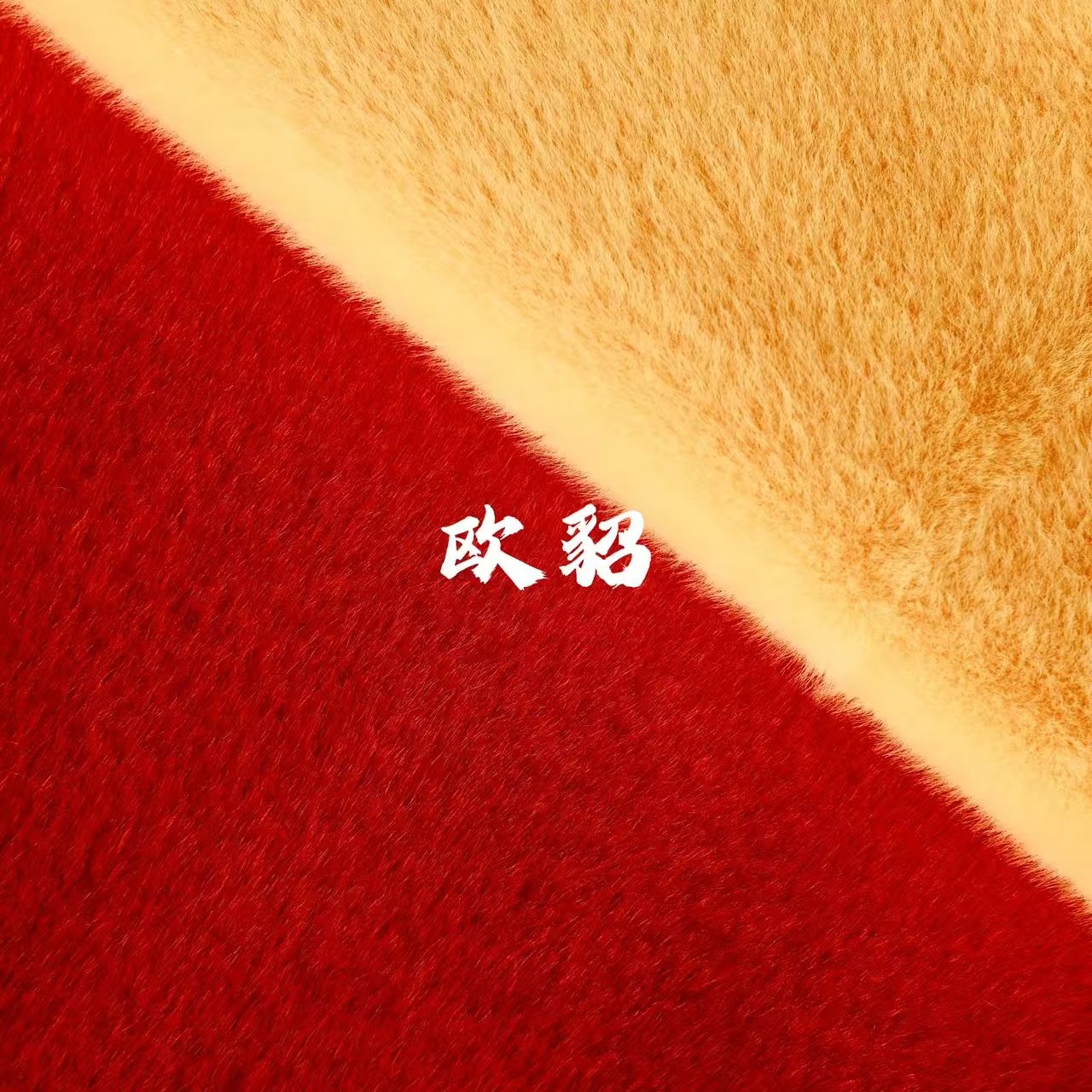欧貂