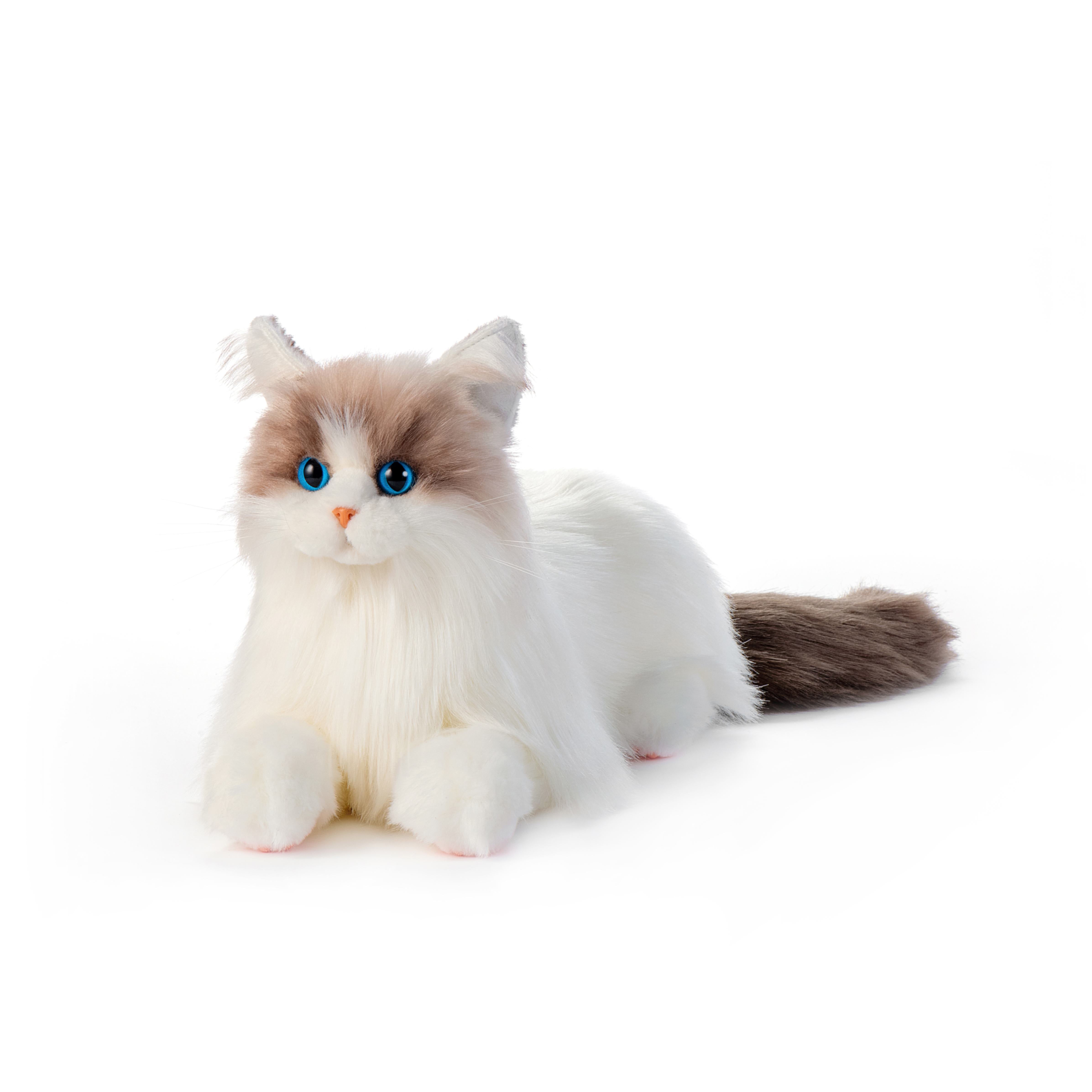 智能反馈猫