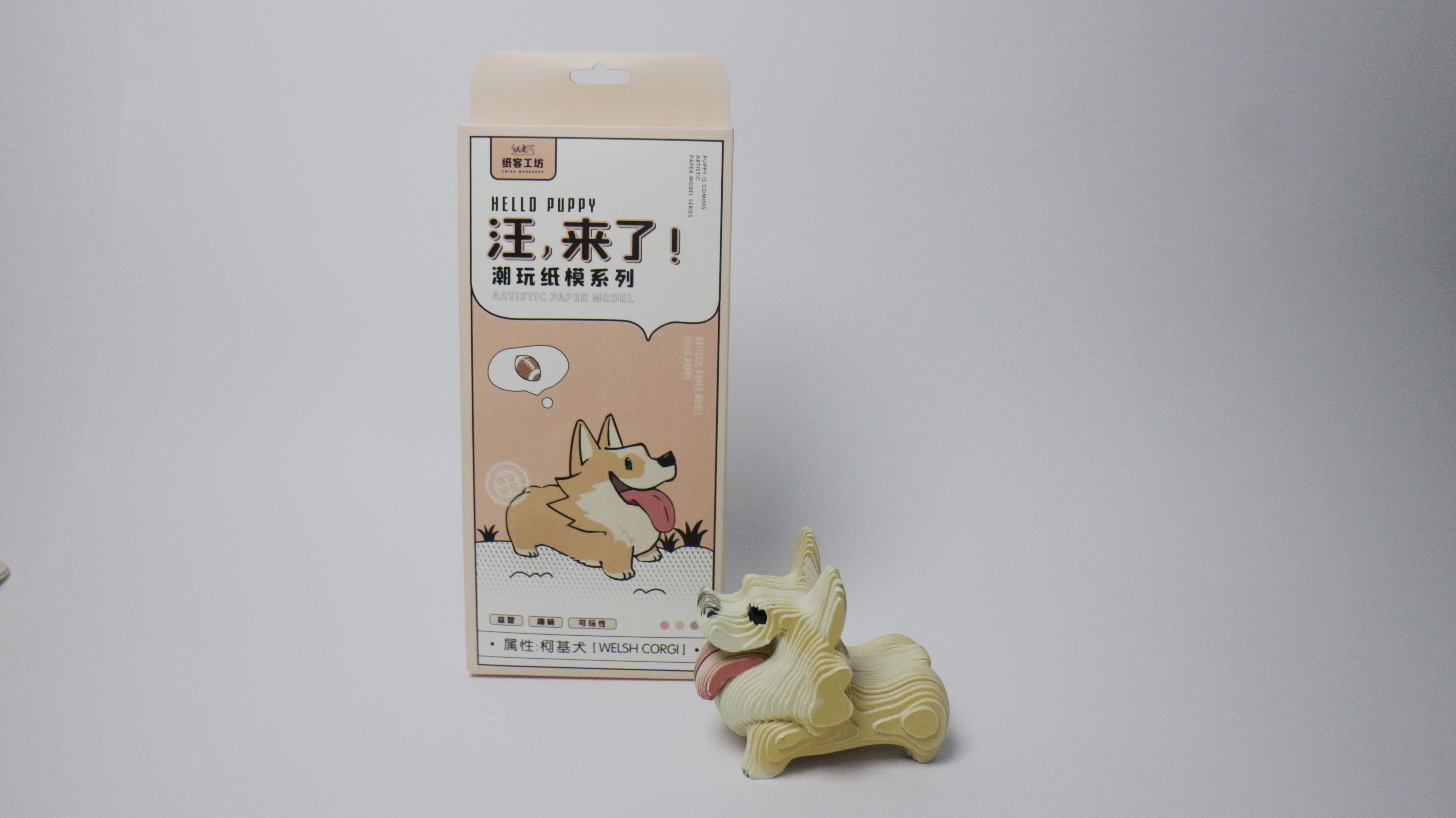 柯基犬