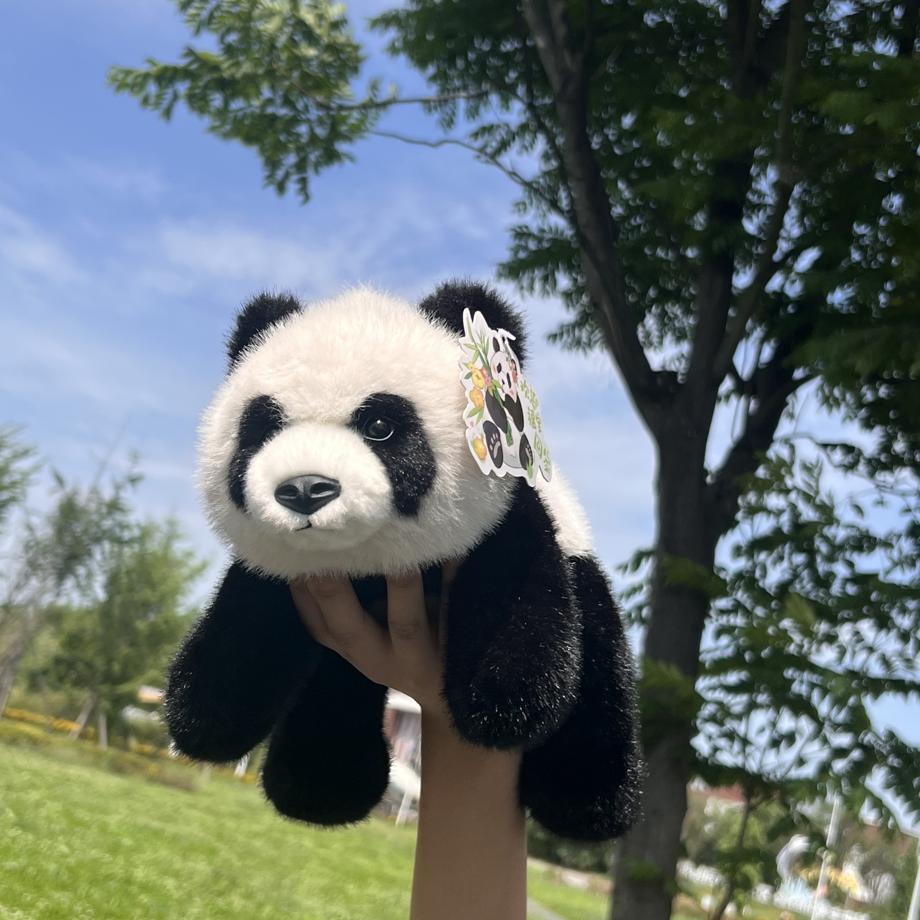 福宝熊猫趴姿