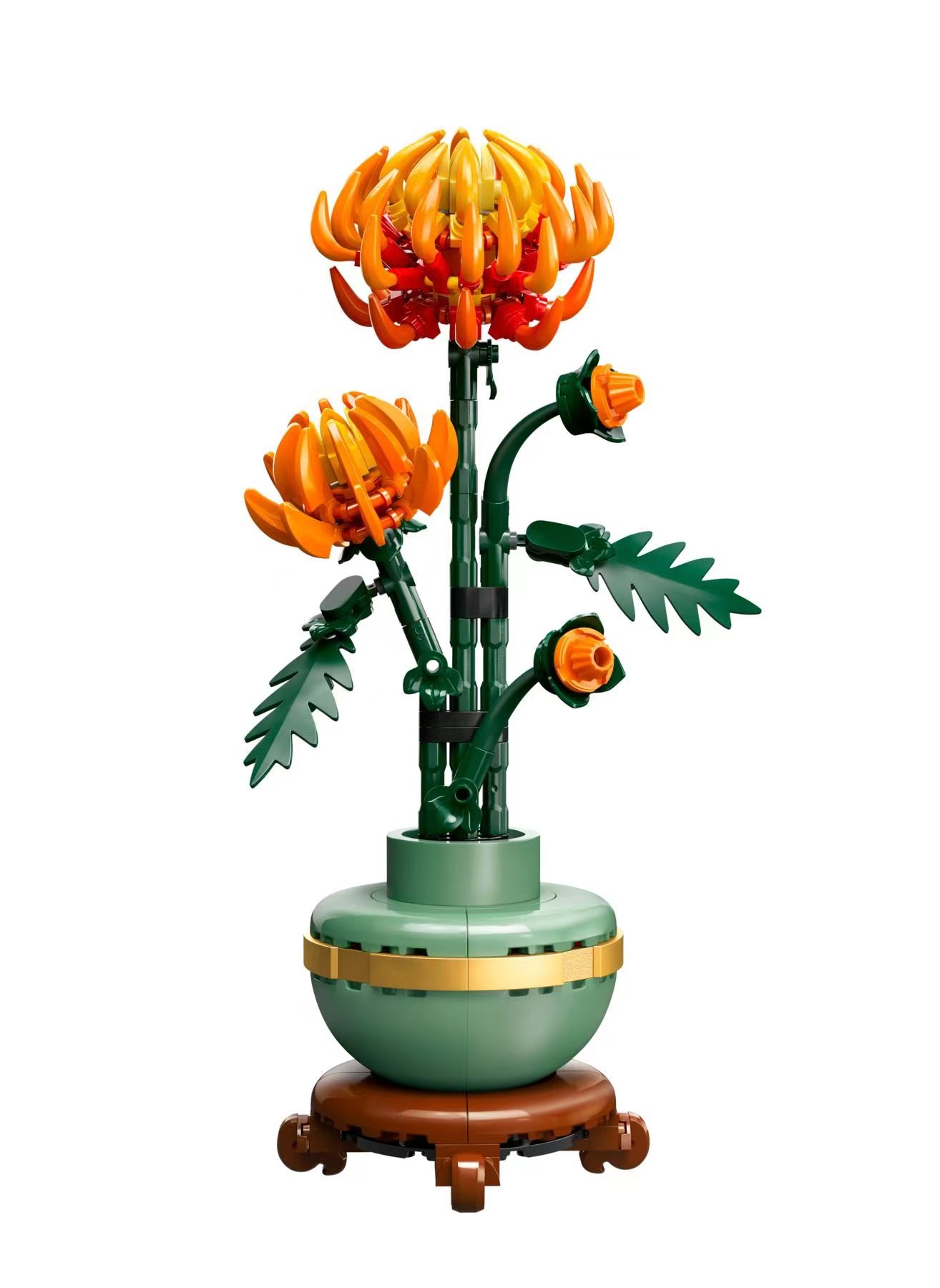 黄金菊