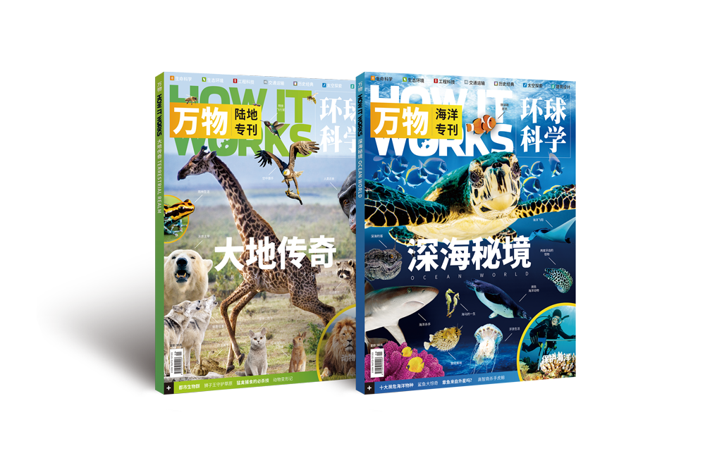 万物杂志专刊