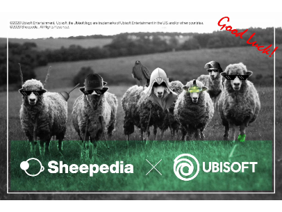Sheepedia x 疯狂兔子联合T恤