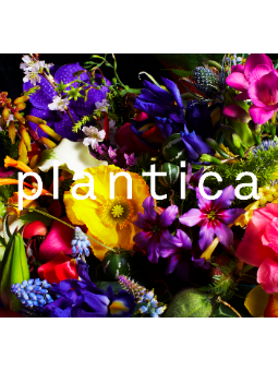 plantica