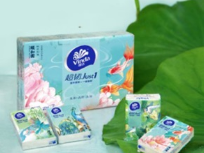 颐和仙境×维达