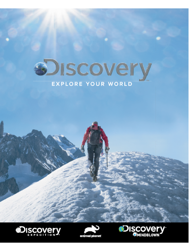 Discovery IP授权