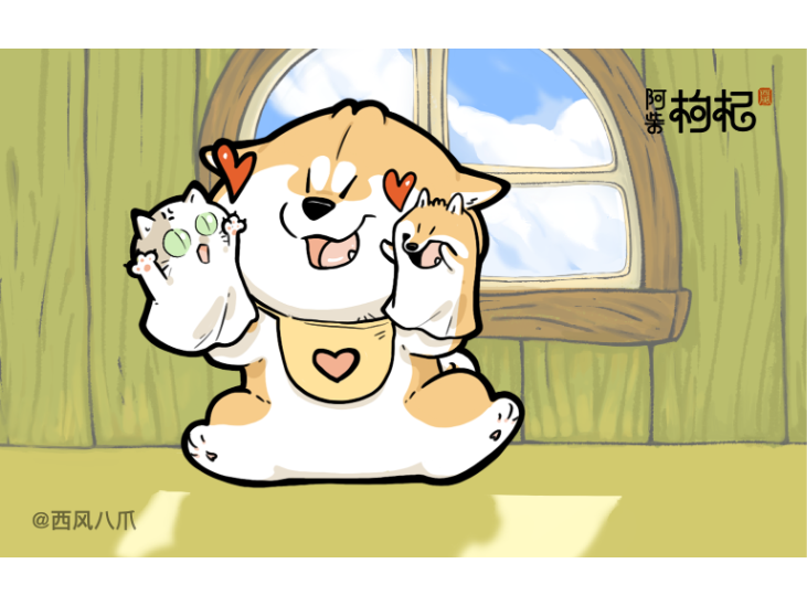 阿柴枸杞X上海交通卡