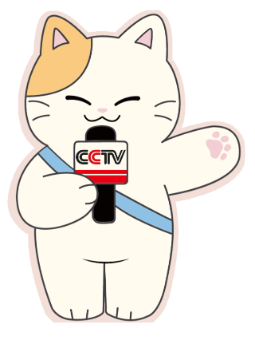 总台猫