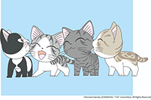 甜甜私房猫