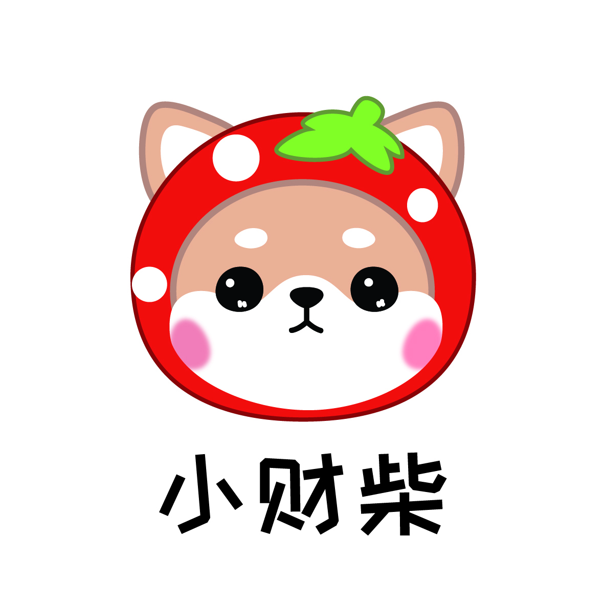 成都青木丫丫工艺品有限公司
