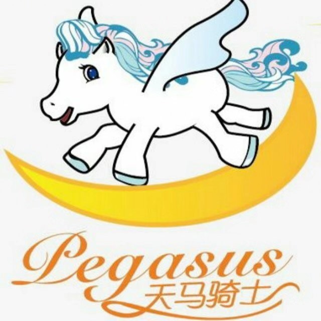 扬州天马玩具有限公司