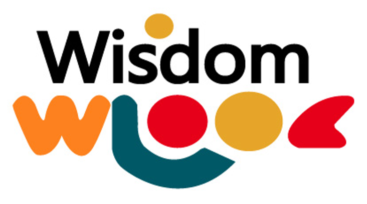 Nanjing Wisdom Import & Export Co., Ltd.