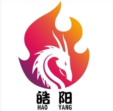Linyi City.Luozhuang Distic, Haoyang Toy Products Factory