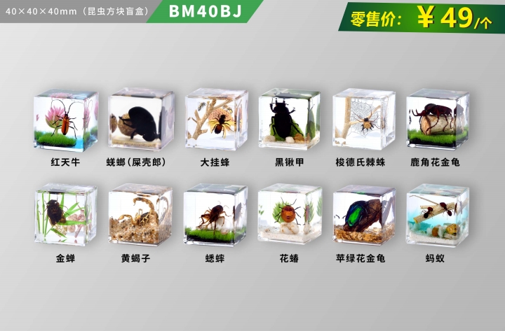 微景观魔方系列 之 昆虫王国