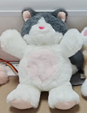 爱心睡眠猫