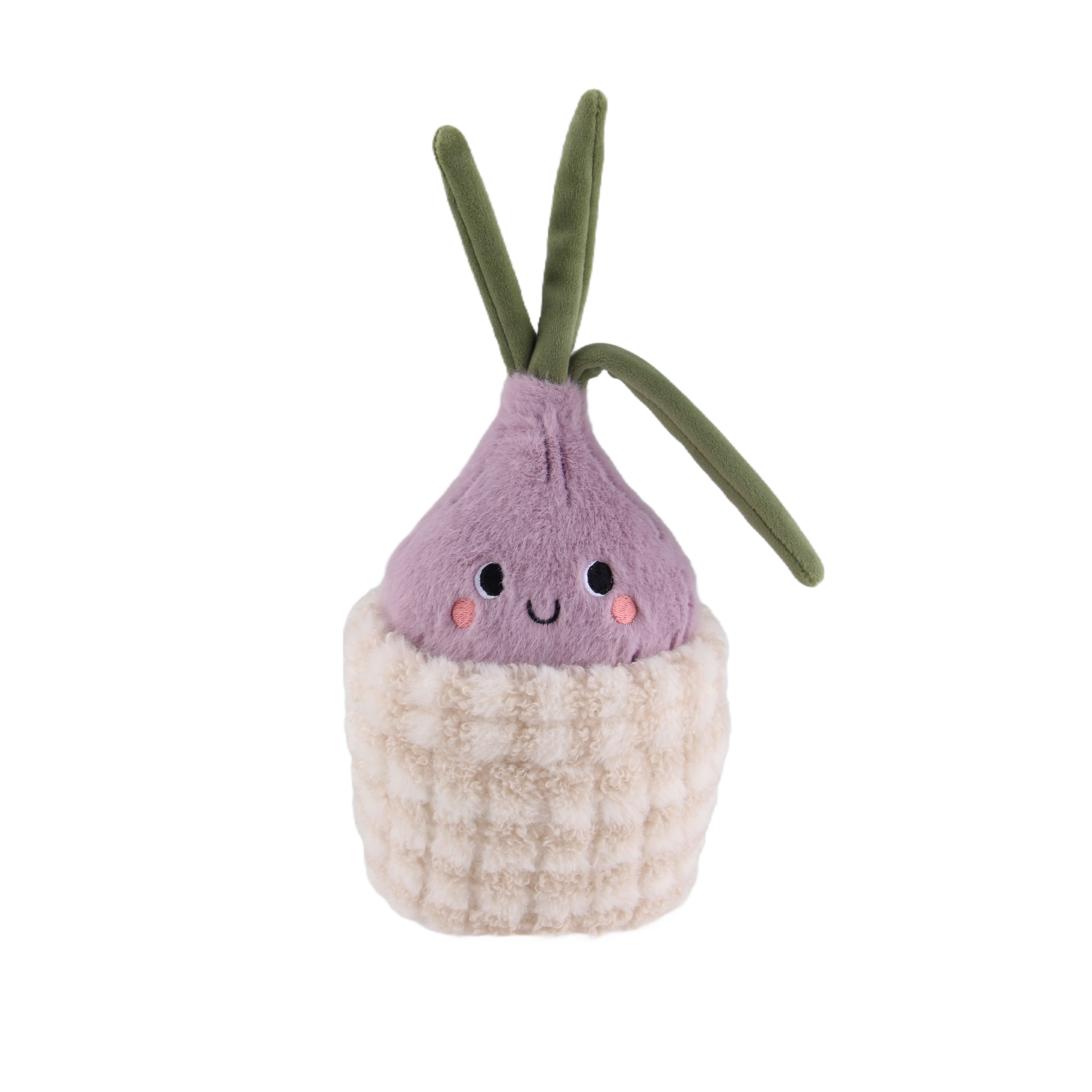 onion