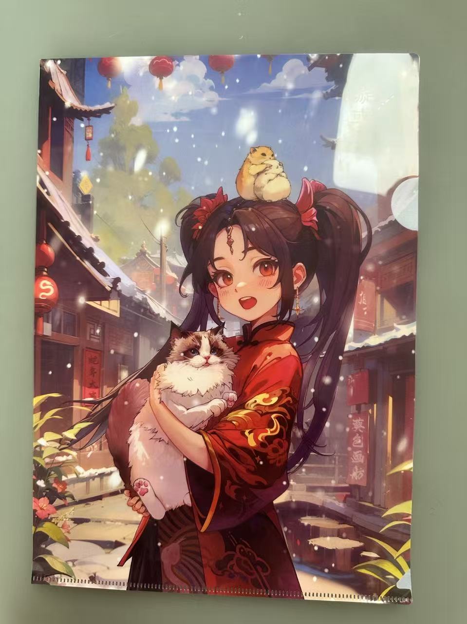 二次元文件夹