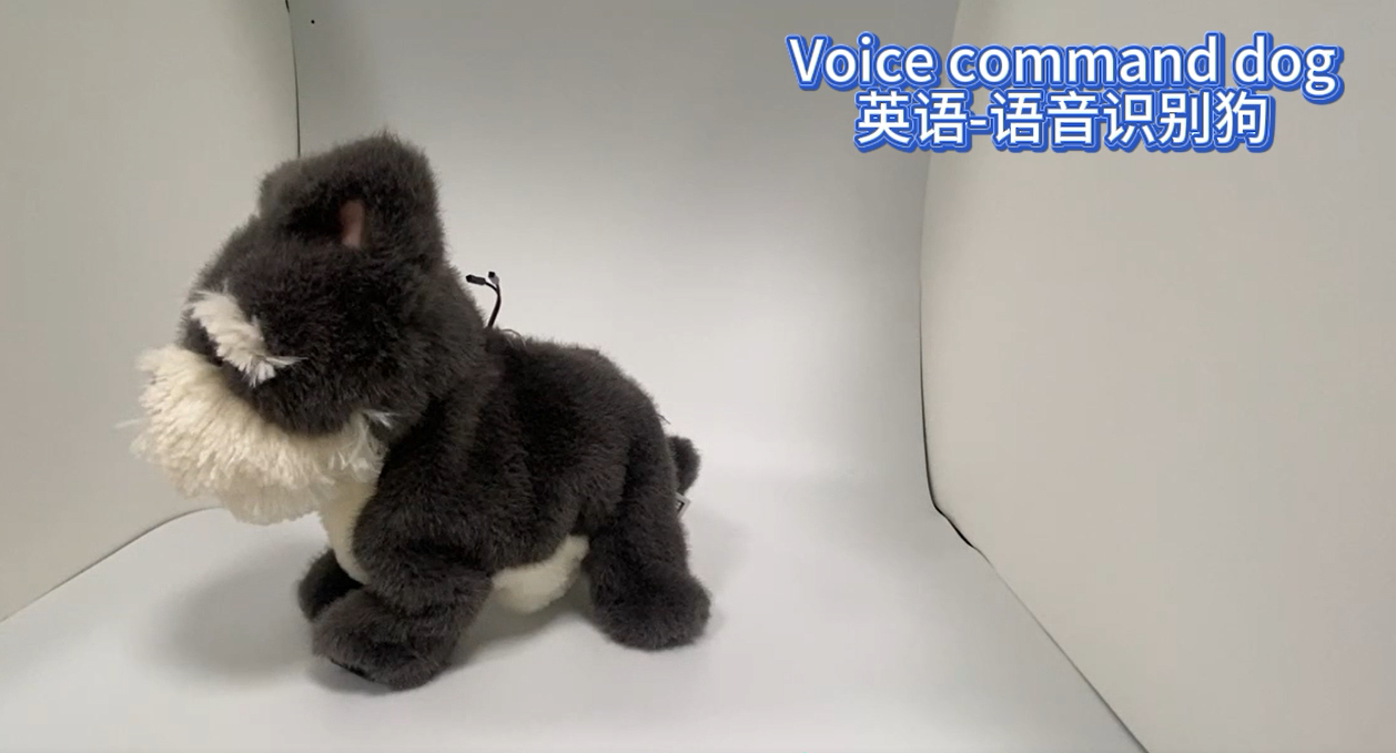 Voice command dog