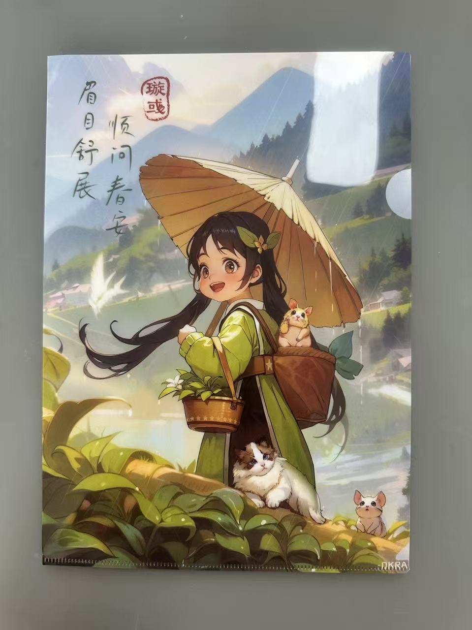 二次元文件夹