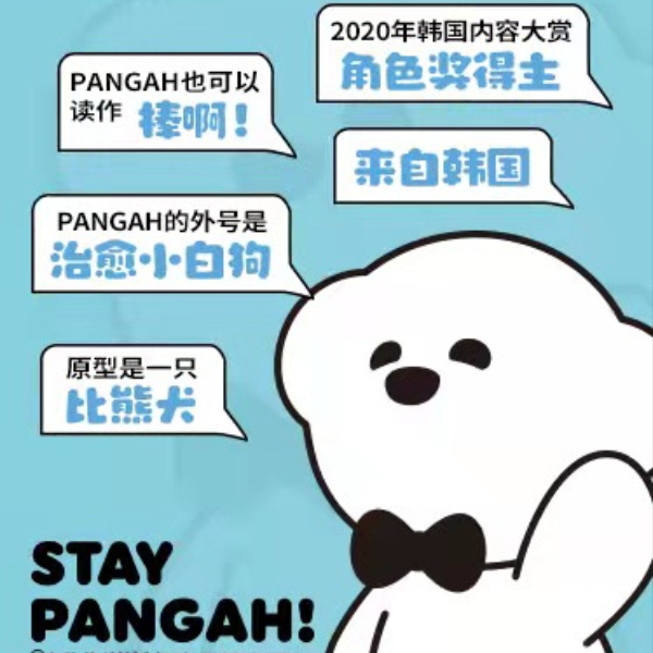 治愈小白狗