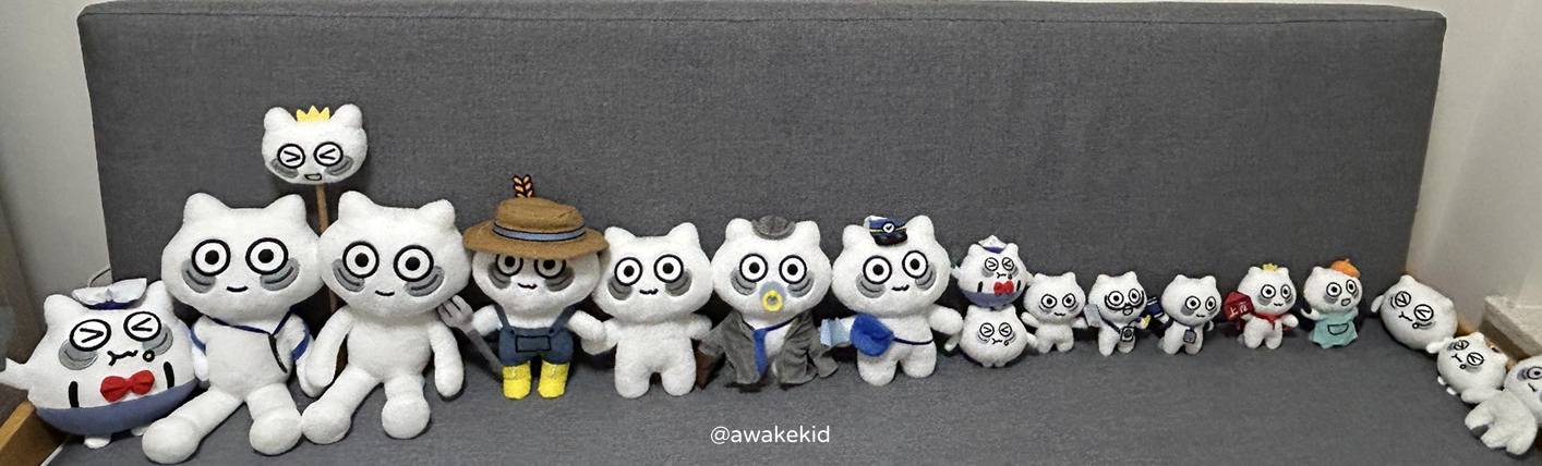 awakekid