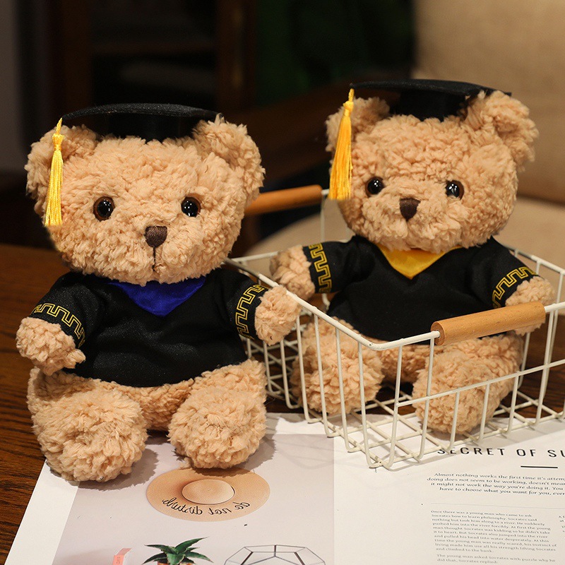 Graduation Teddy Bear