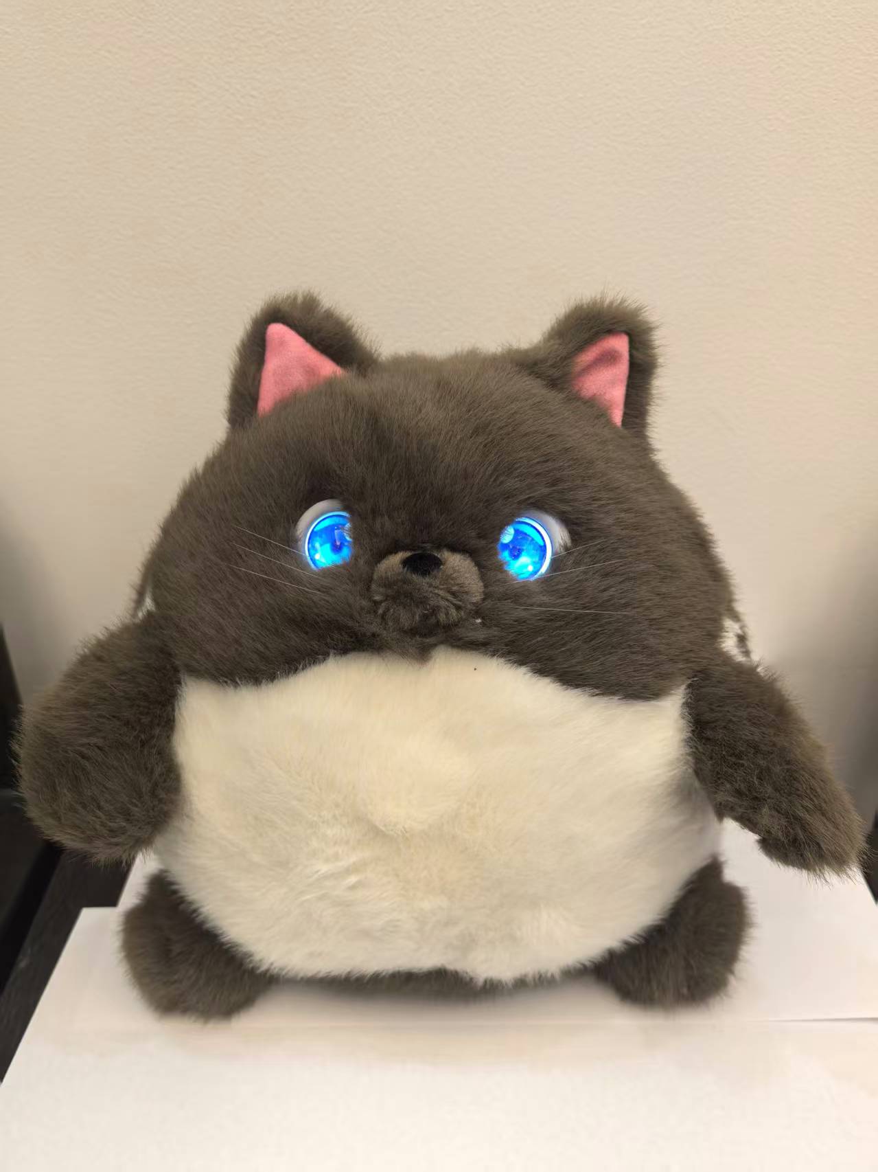 AI智能萌猫