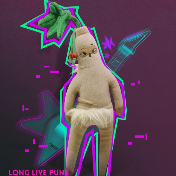 朋克养参