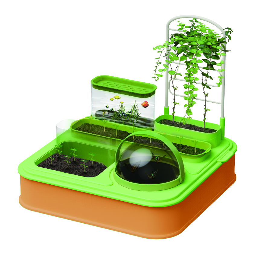 Plant Growing Observation Kit