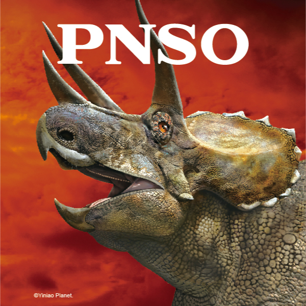 PNSO博物馆