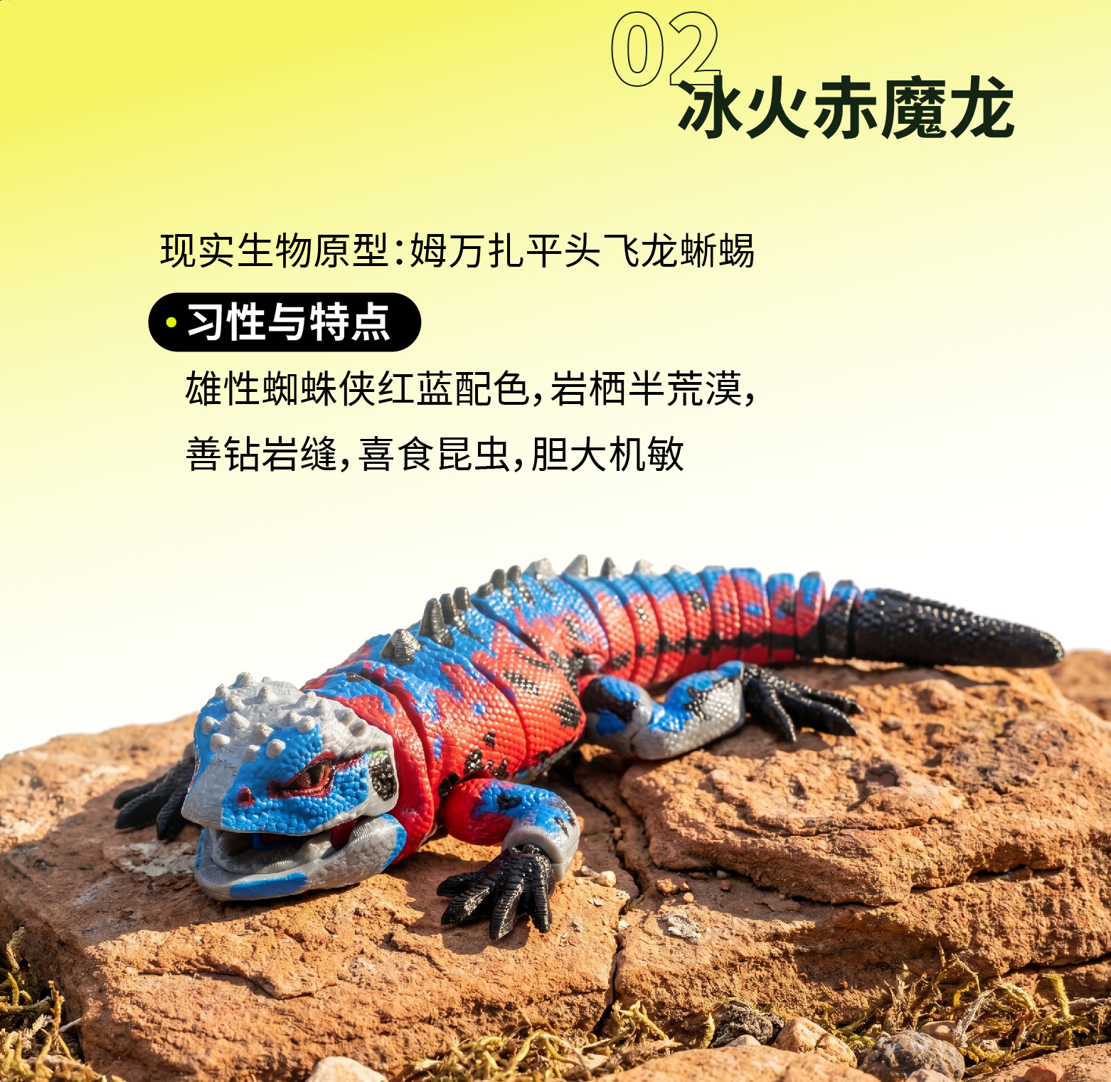 小星潮宠系列- 蜥蜴