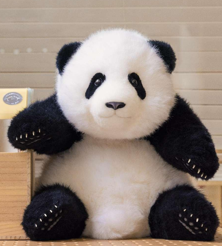熊猫工厂5月龄萌兰