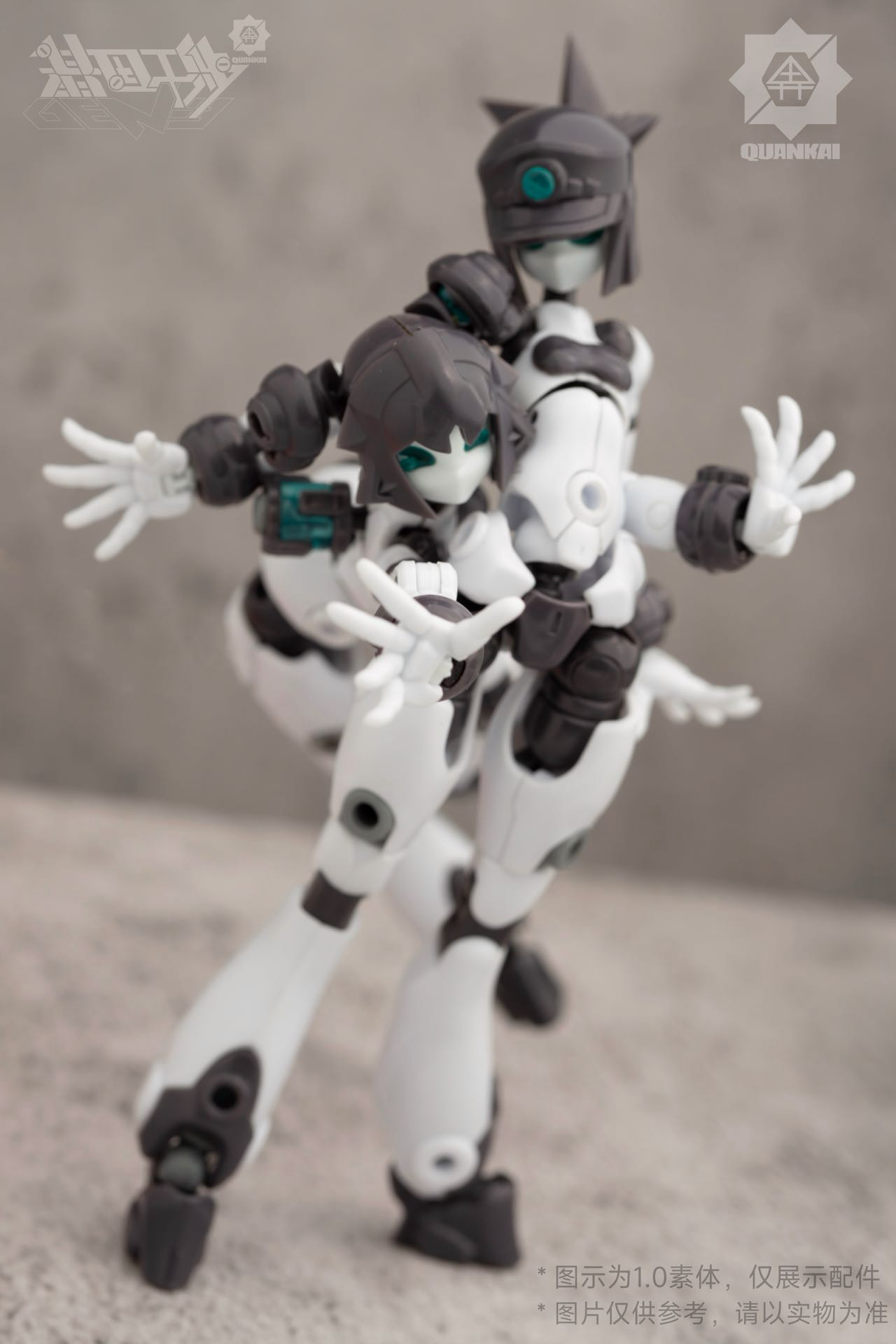 基因干涉系列素体套02