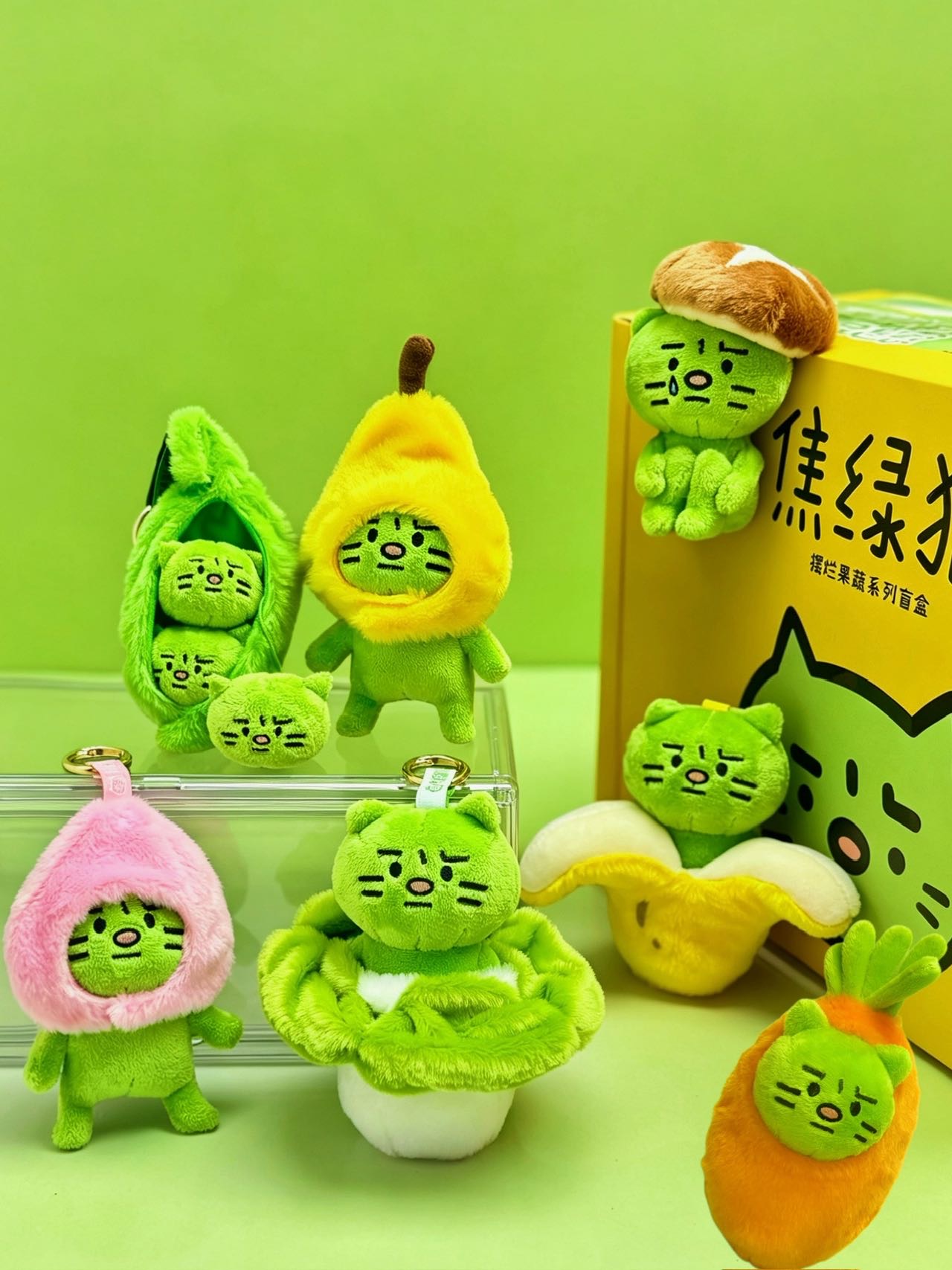 焦绿猫