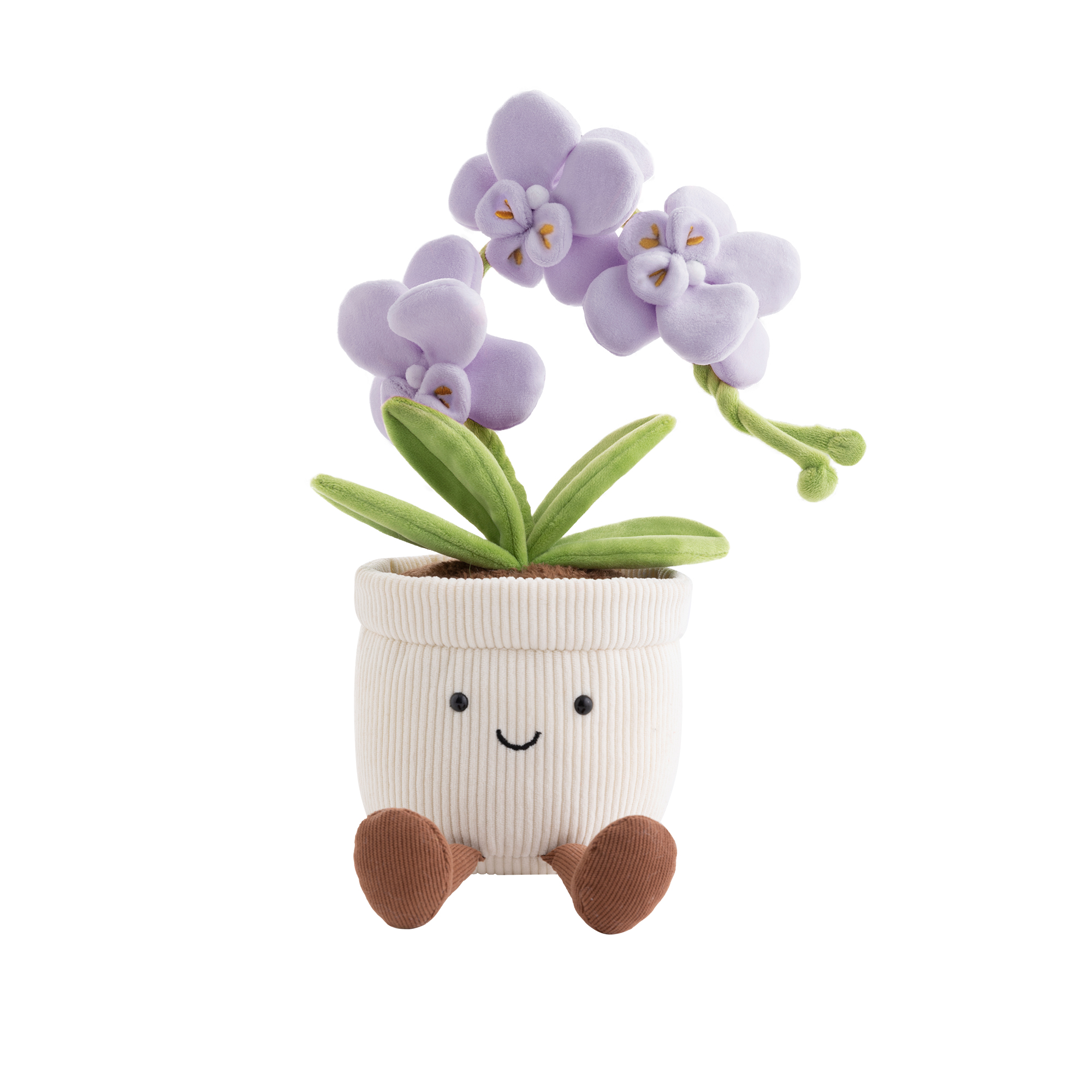 蝴蝶兰花