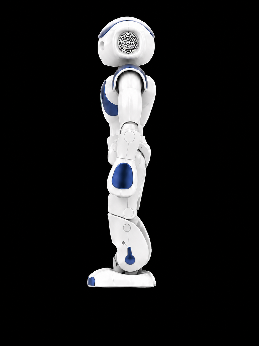 NAO Mini 机器人