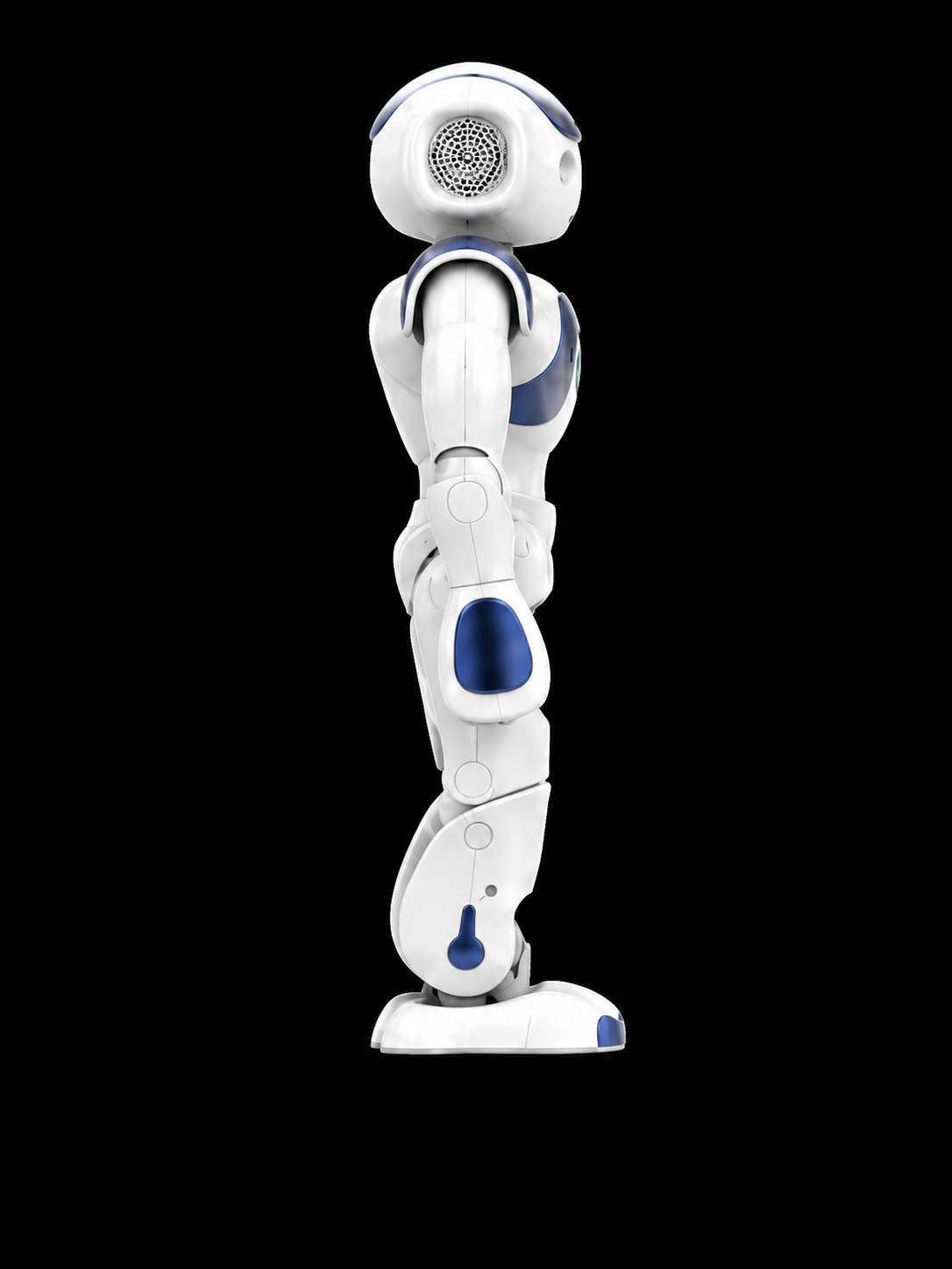 NAO Mini 机器人