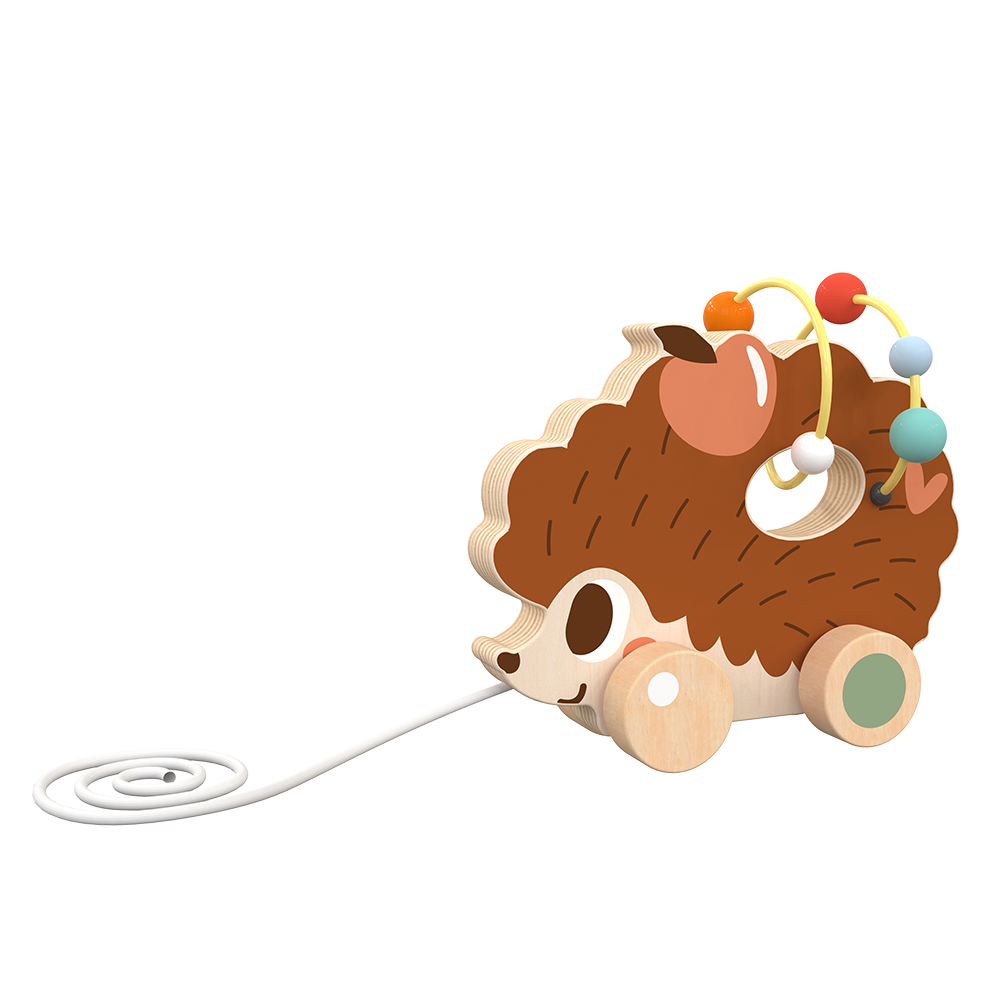 Wooden Pull Along Hedgehog Car