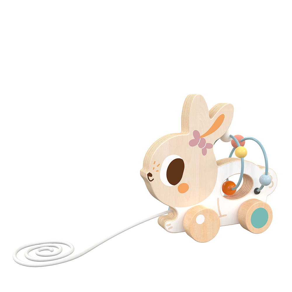 Wooden Pull Along Rabbit Car