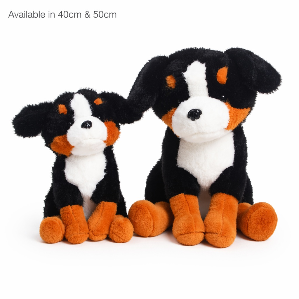 Bernese Mountain Dog
