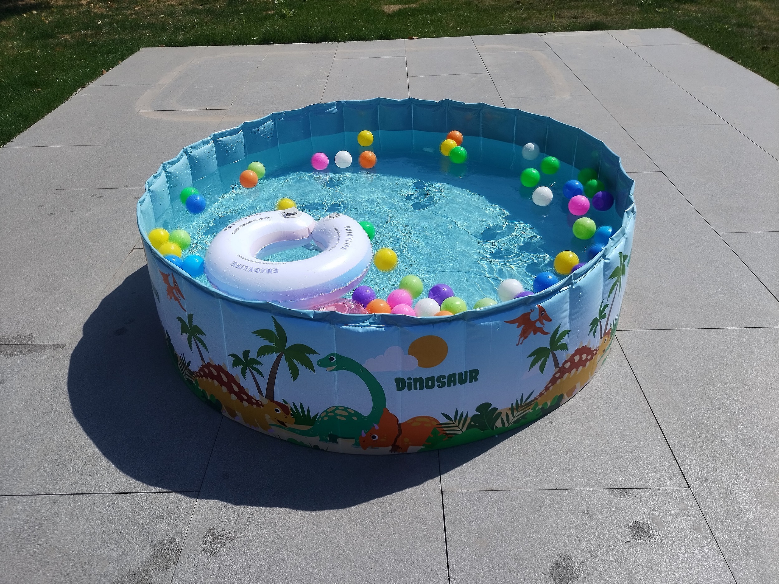 Dinosaur Printed Round Non‑inflatable Pool