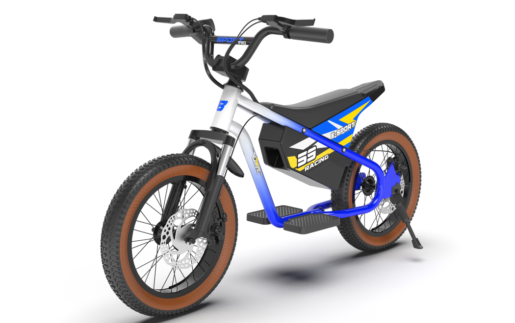 BDQ-N1  E-bike