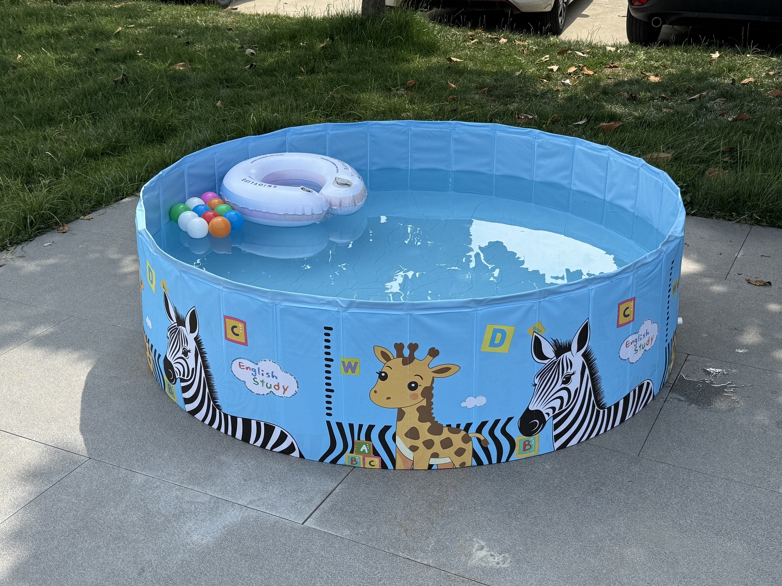 Zebra‑Printed Round Non‑inflatable Pool