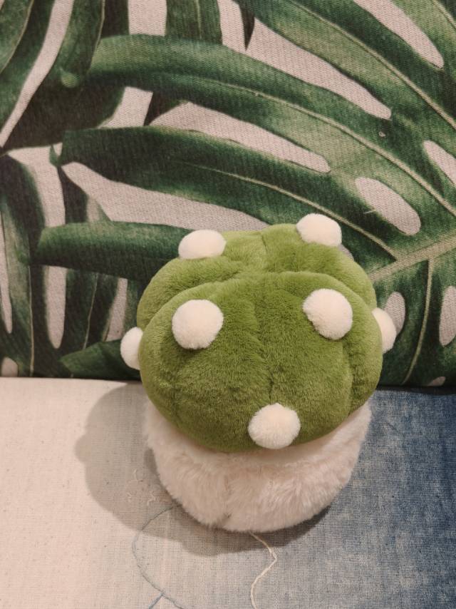 仙人球