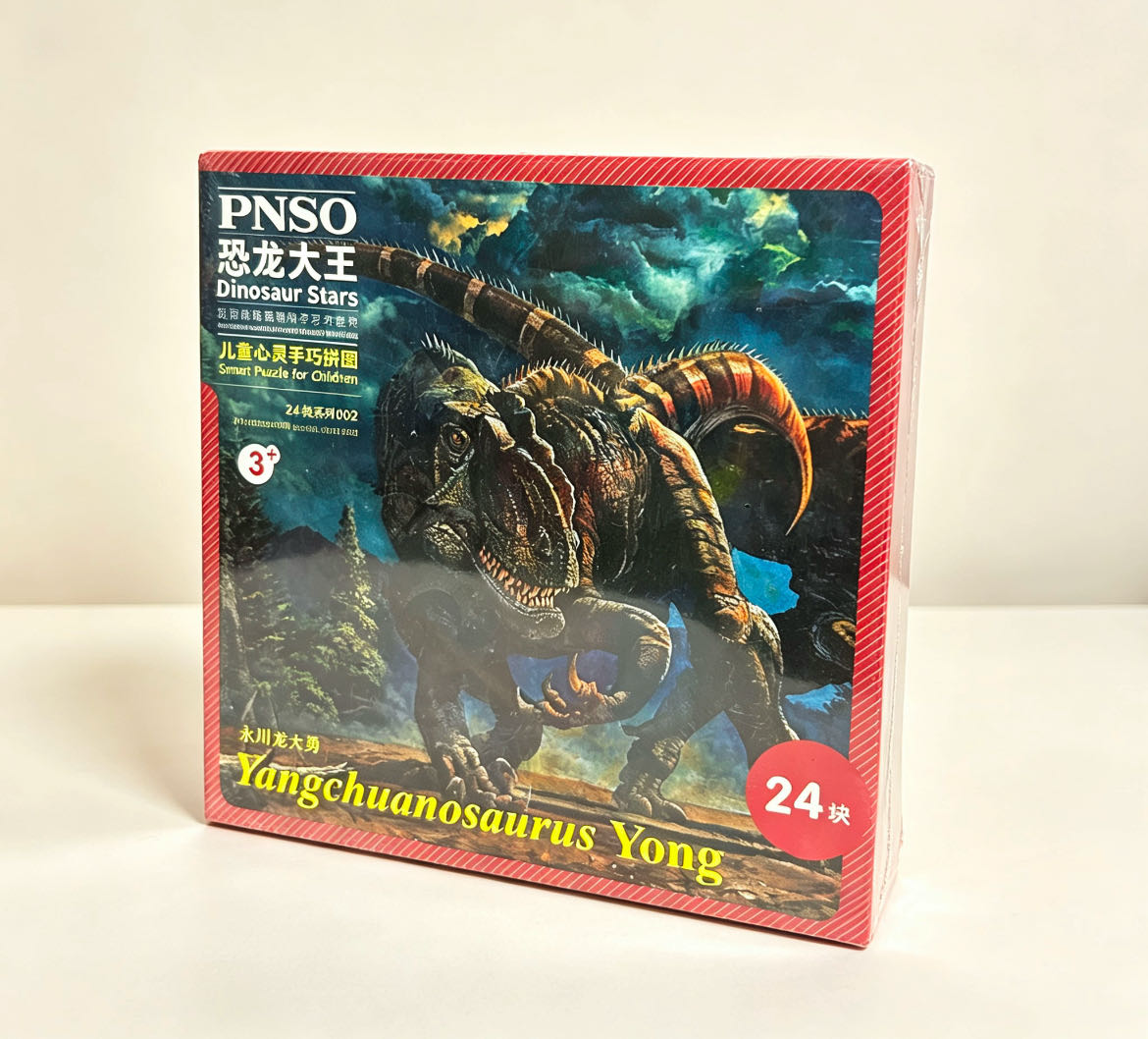 PNSO恐龙大王 永川龙大勇 24块儿童心灵手巧智慧拼图