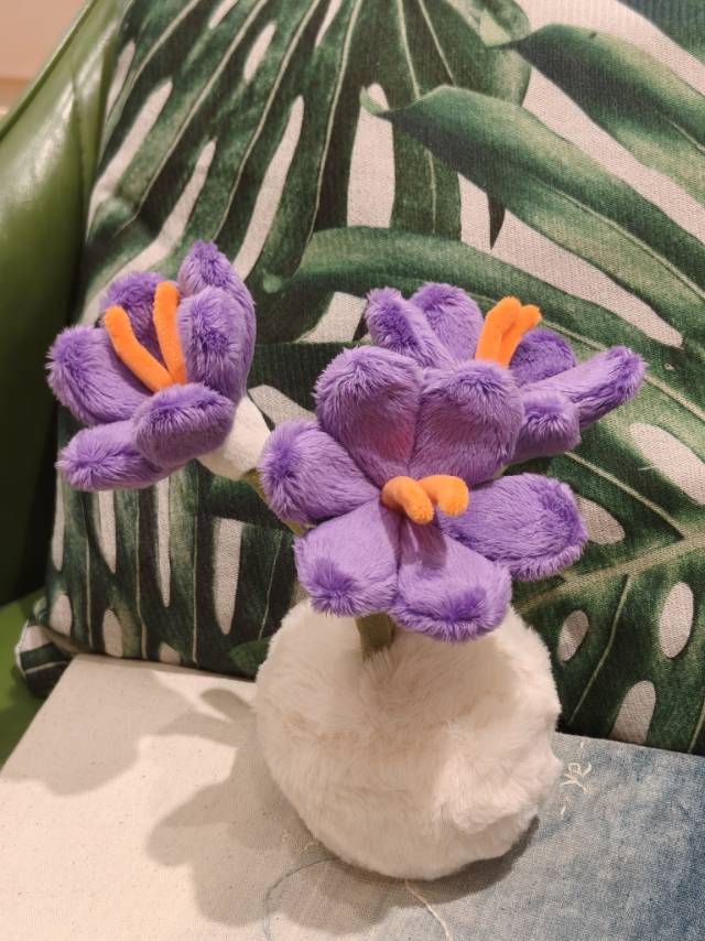 番红花
