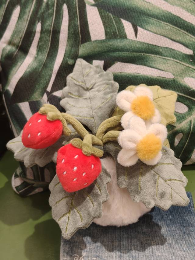 草莓